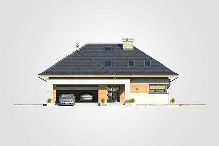 Фасад дома FFA-9263-65 Фасад дома FFA-9263-65